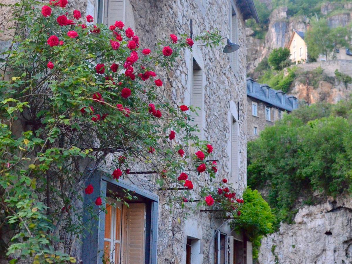 Chambres D'Hotes La Source Du Vallon Salles-la-Source Exterior photo